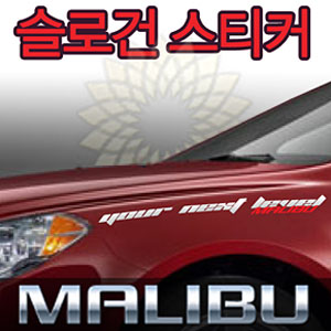 [ Malibu auto parts ] Born to point Decal Sticker  Made in Korea